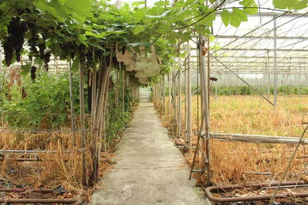 Medium property photo - Achterdiep Noordzijde, 9611 BT Sappemeer